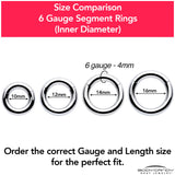 6G 9/16 316L Surgical Steel Precision Hinged Segment Hoop