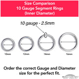 10G 5/8 316L Surgical Steel Precision Hinged Segment Hoop