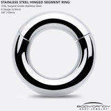 6G 3/8 316L Surgical Steel Precision Hinged Segment Hoop