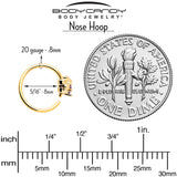 20G 5/16 Purple Gem Gold Tone Beauty Bug Nose Hoop