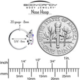 20G 5/16 Pink Blue Gem Beautiful Insect Nose Hoop