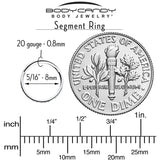 20G 5/16 Clear Cubic Zirconia Forward Facing Hinged Segment Ring