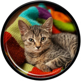 Black Acrylic Custom Photo Saddle Plug - buy 2 for a pair