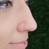 20G Solid 14k Gold Flat Disc Nose Bone