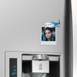 Acrylicious Attack Swimming Shark Magnet by Onyx O