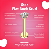 20G 5/16 3mm CZ Star Gold PVD Medical Grade Titanium Flat Back Earring