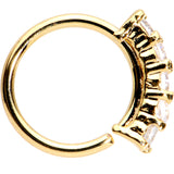 20G 5/16 Clear CZ Gold IP Quintet Seamless Circular Nose Ring