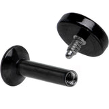 1/4 Black IP 4mm Circle Internal Thread Daith Cartilage Tragus